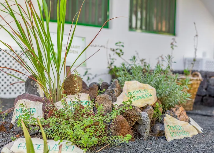 Club Del Carmen 4* Пуэрто дель Кармен