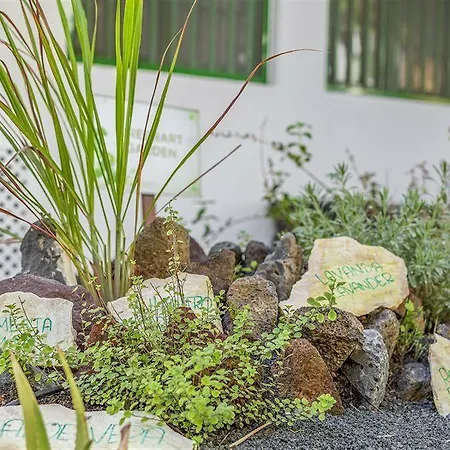 Club Del Carmen Апарт-отель Пуэрто дель Кармен